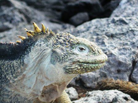  Islas Galápagos